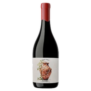 Ánfora Malbec 2020 disponible en Santos y Cepas